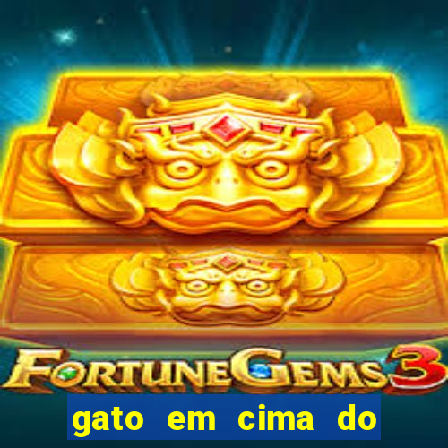 gato em cima do telhado significado espiritual